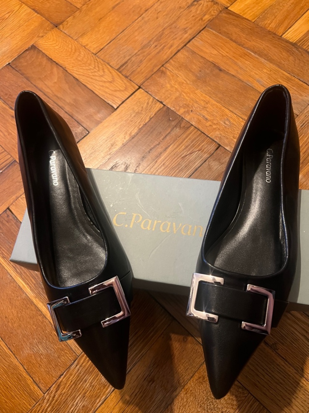 C. Paravato Black Pointed Toe Flats with Silver Buckle